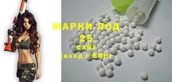 мяу мяу кристалл Ельня