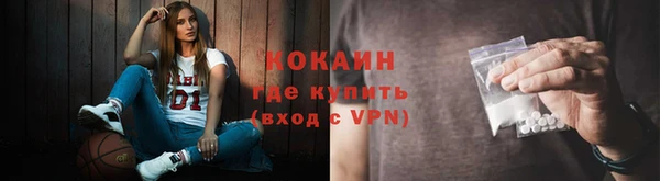 дурь Елизово