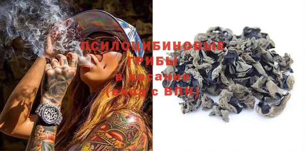 шишки Елабуга