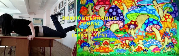 кокс Дмитриев