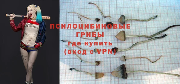 гидра Дмитровск