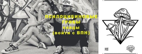 шишки Елабуга
