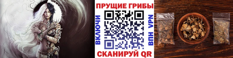 Галлюциногенные грибы мицелий  Купить закладки  Смоленск 